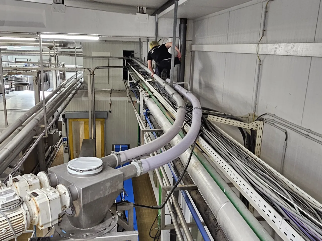 Pose de chemins de câbles dans une usine